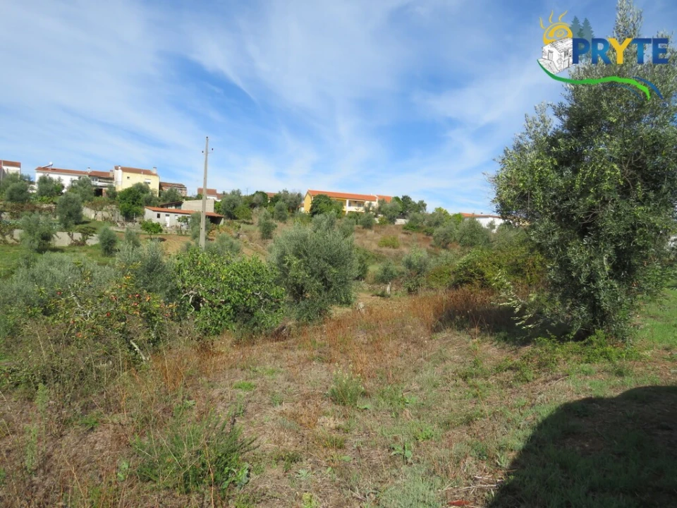 Terreno para Venda em Sertã Foto 3