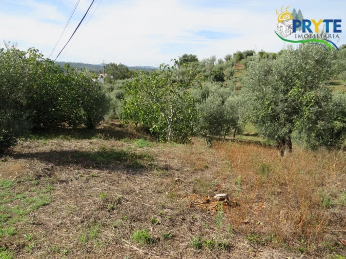 Terreno para Venda em Sertã