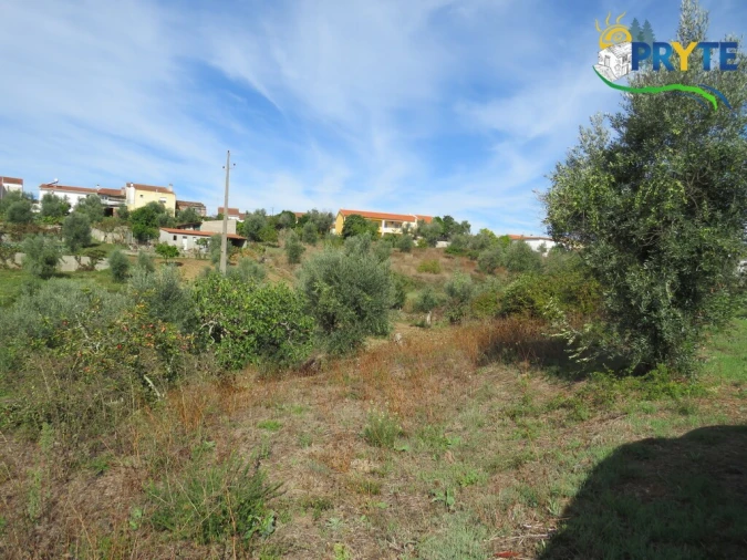 Terreno para Venda em Sertã Foto 3