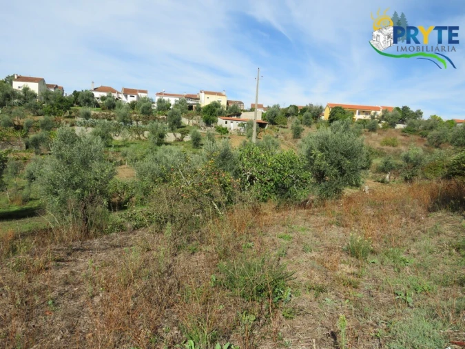 Terreno para Venda em Sertã Foto 4