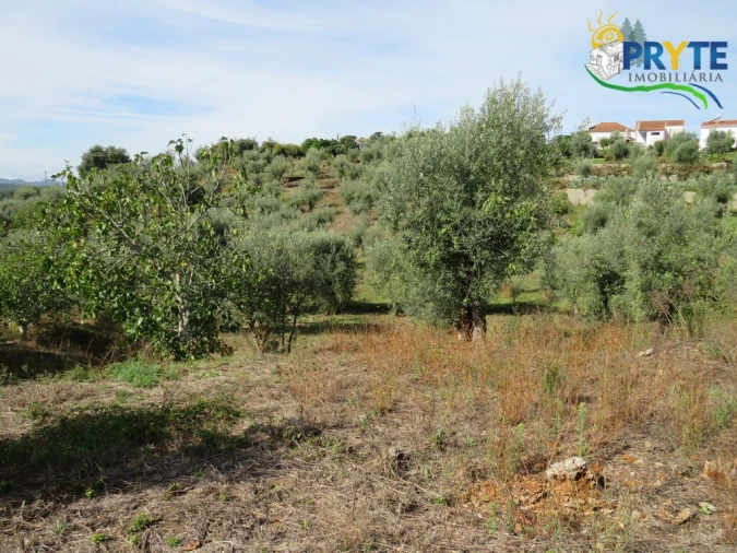 Terreno para Venda em Sertã Foto 5