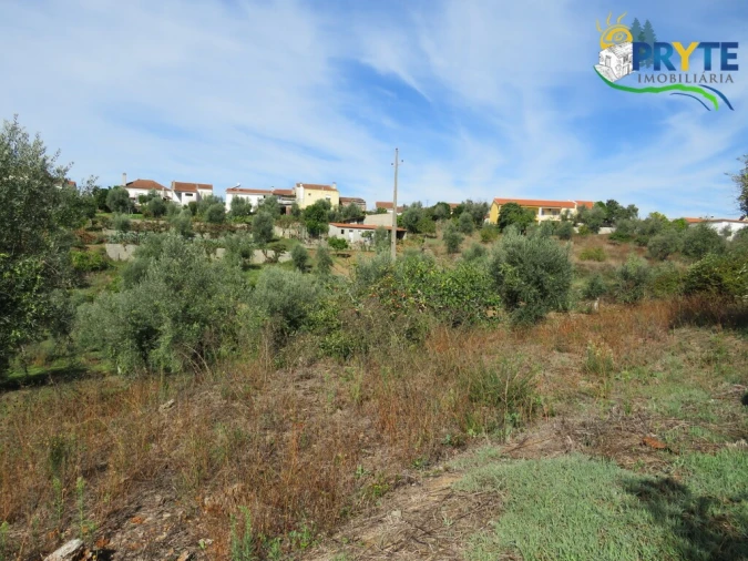 Terreno para Venda em Sertã Foto 6