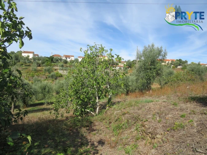 Terreno para Venda em Sertã Foto 7