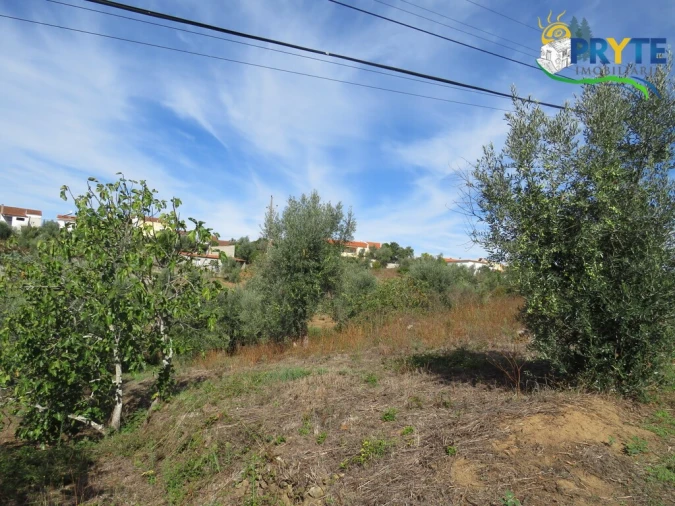 Terreno para Venda em Sertã Foto 8