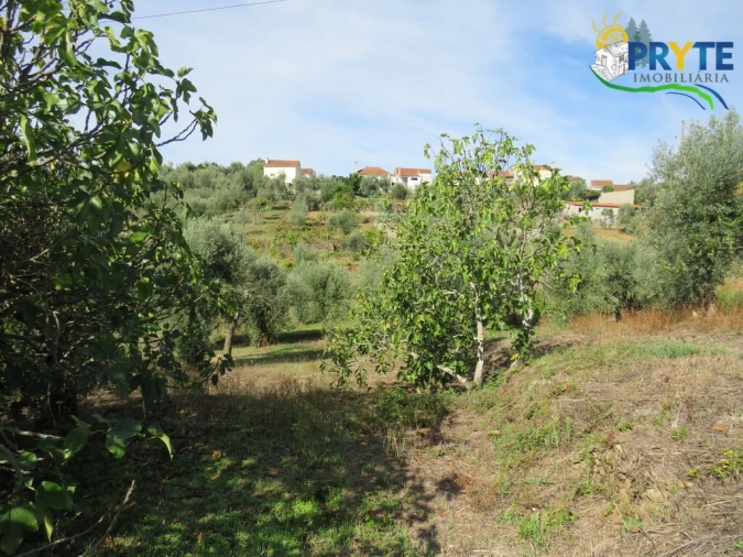 Terreno para Venda em Sertã Foto 9