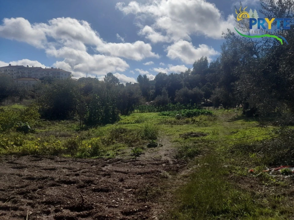 Terreno para Venda em Proença-A-Nova e Peral Foto 3