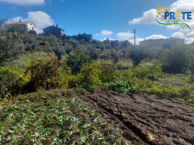 Terreno para Venda em Proença-A-Nova e Peral Foto 2
