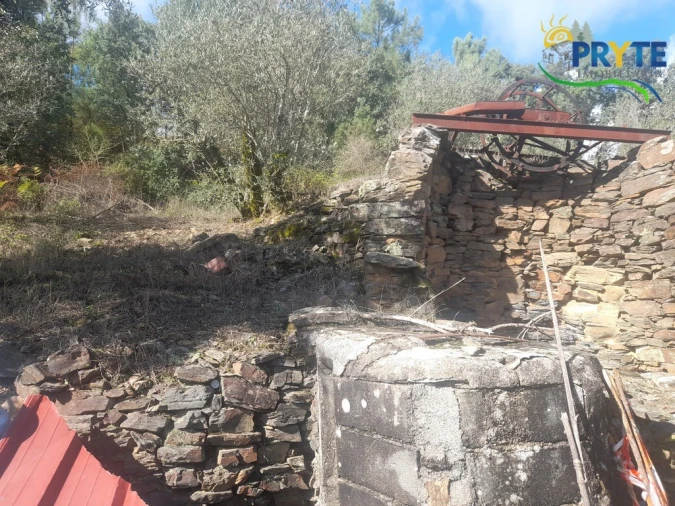 Terreno para Venda em Proença-A-Nova e Peral Foto 5