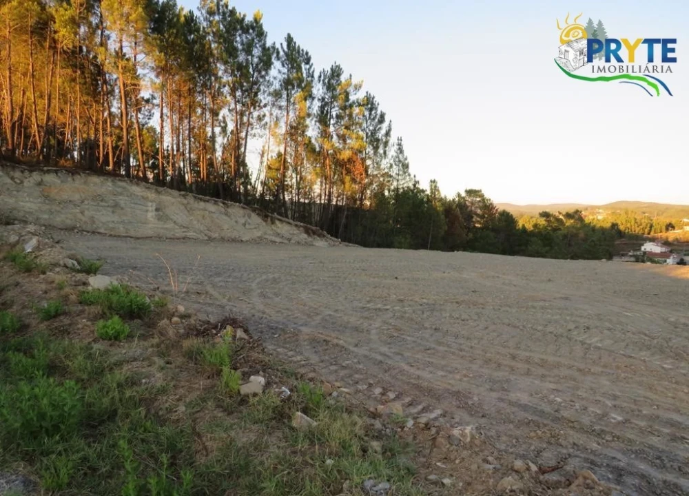 Terreno para Venda em Sertã Foto 2