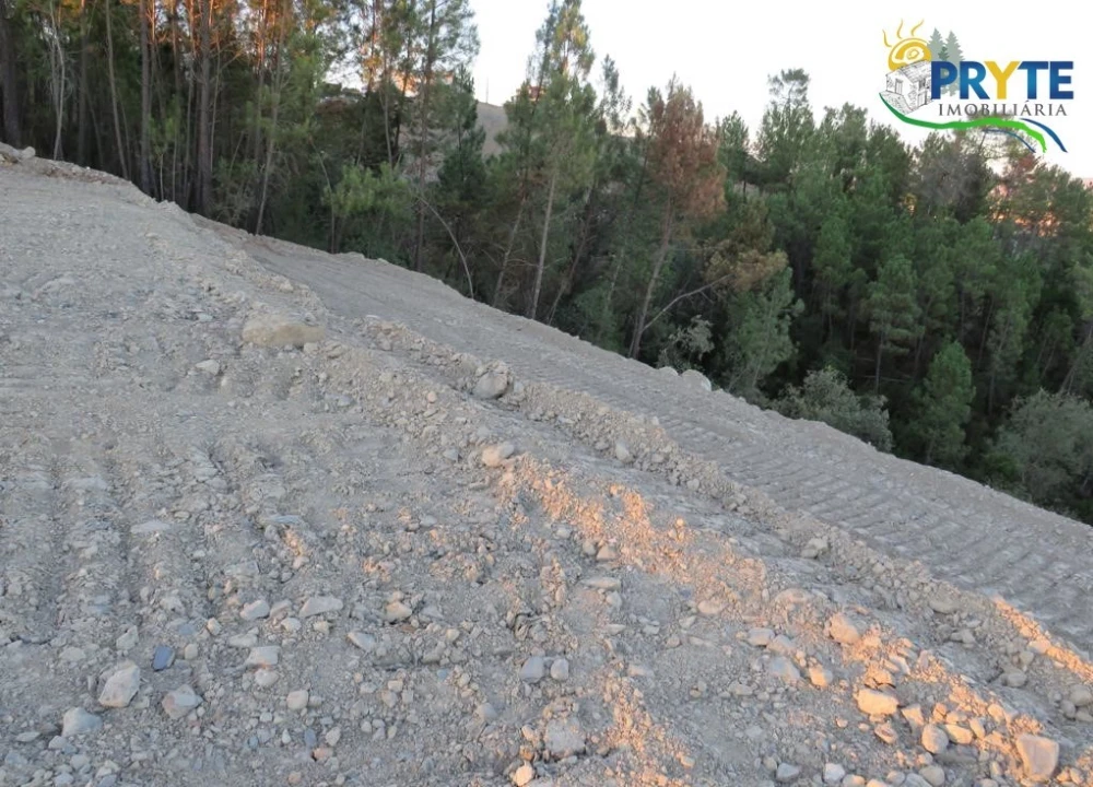 Terreno para Venda em Sertã Foto 10