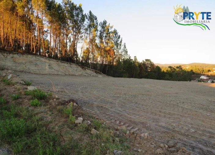 Terreno para Venda em Sertã Foto 2