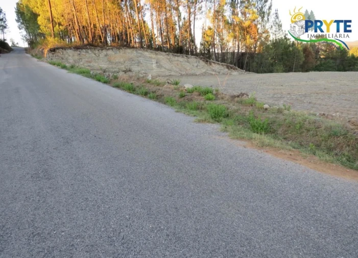 Terreno para Venda em Sertã Foto 3
