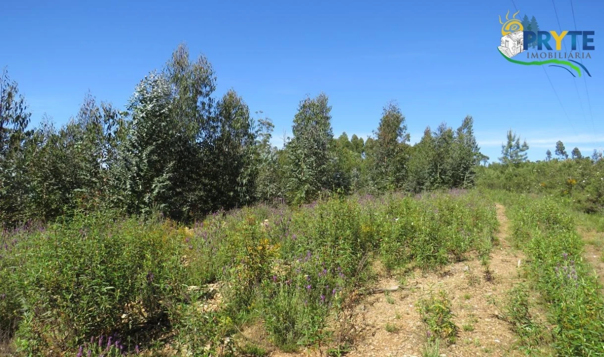 Terreno para Venda em Sertã Foto 37