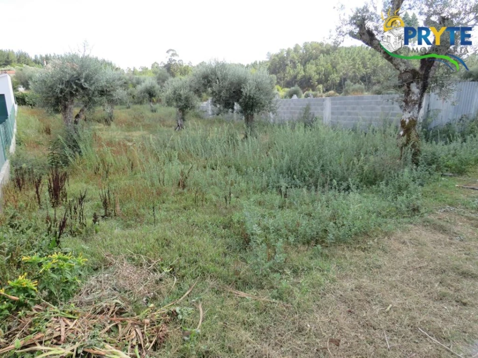 Terreno para Venda em Cabeçudo Foto 10