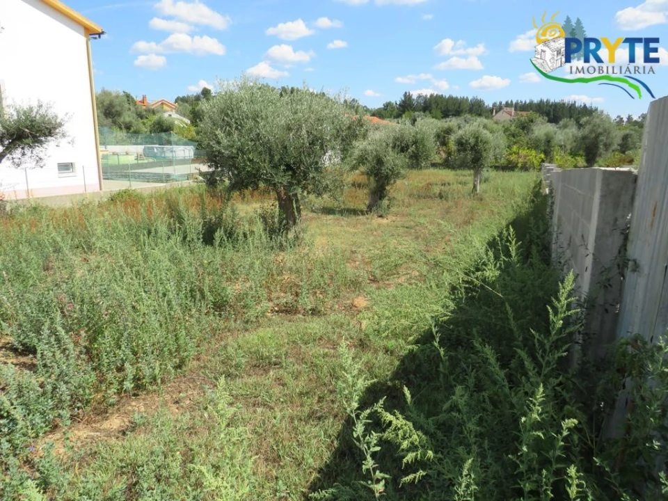Terreno para Venda em Cabeçudo Foto 12