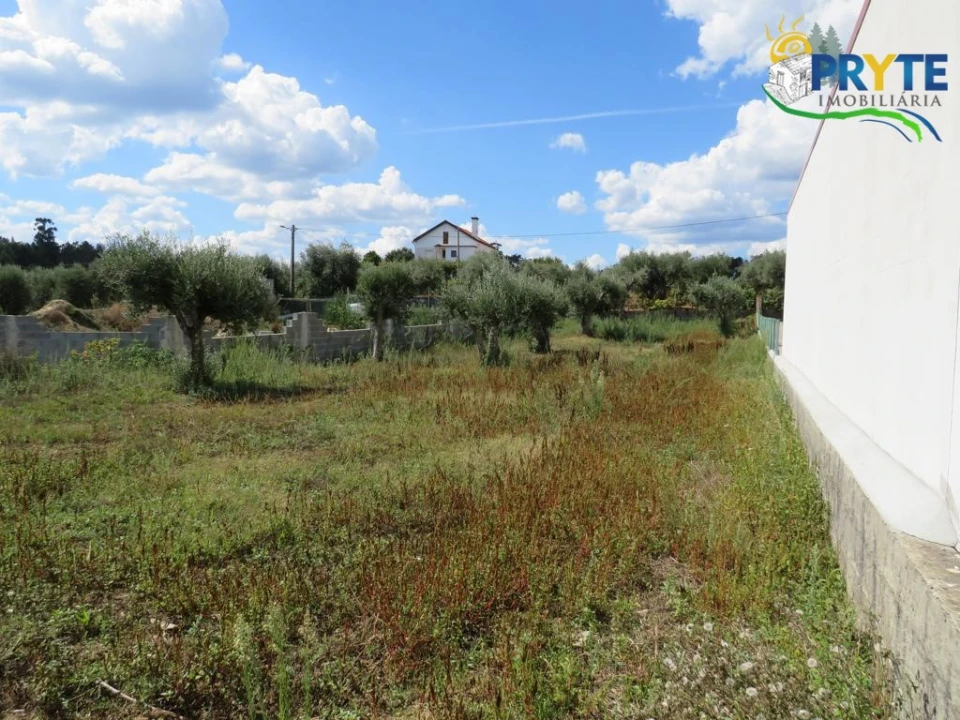 Terreno para Venda em Cabeçudo Foto 13