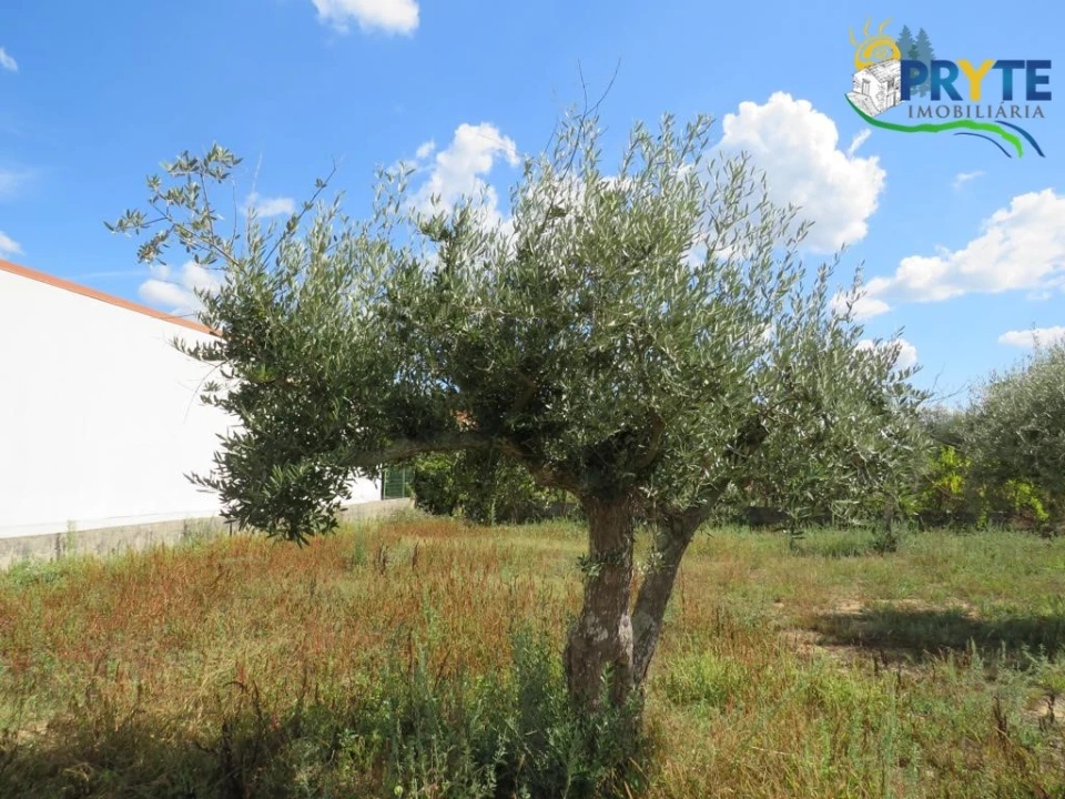 Terreno para Venda em Cabeçudo Foto 14
