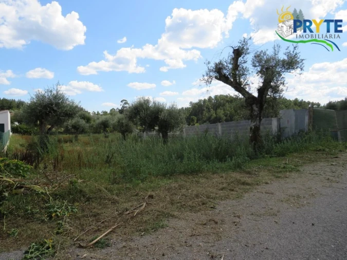 Terreno para Venda em Cabeçudo Foto 11