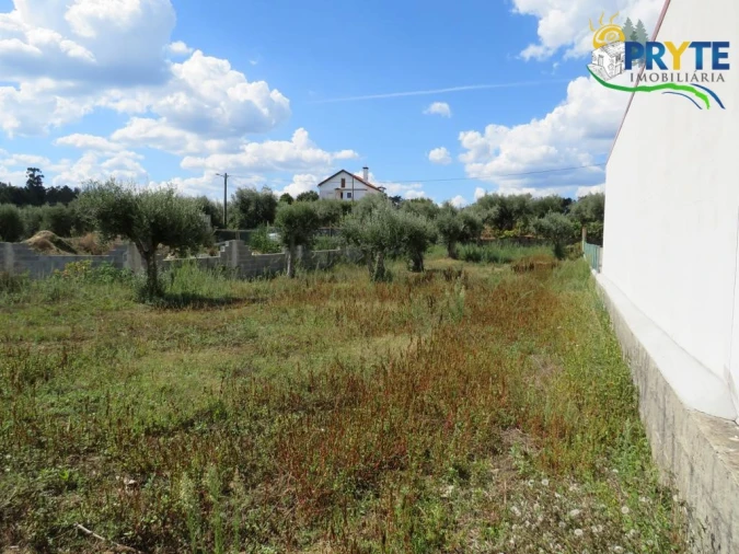 Terreno para Venda em Cabeçudo Foto 13