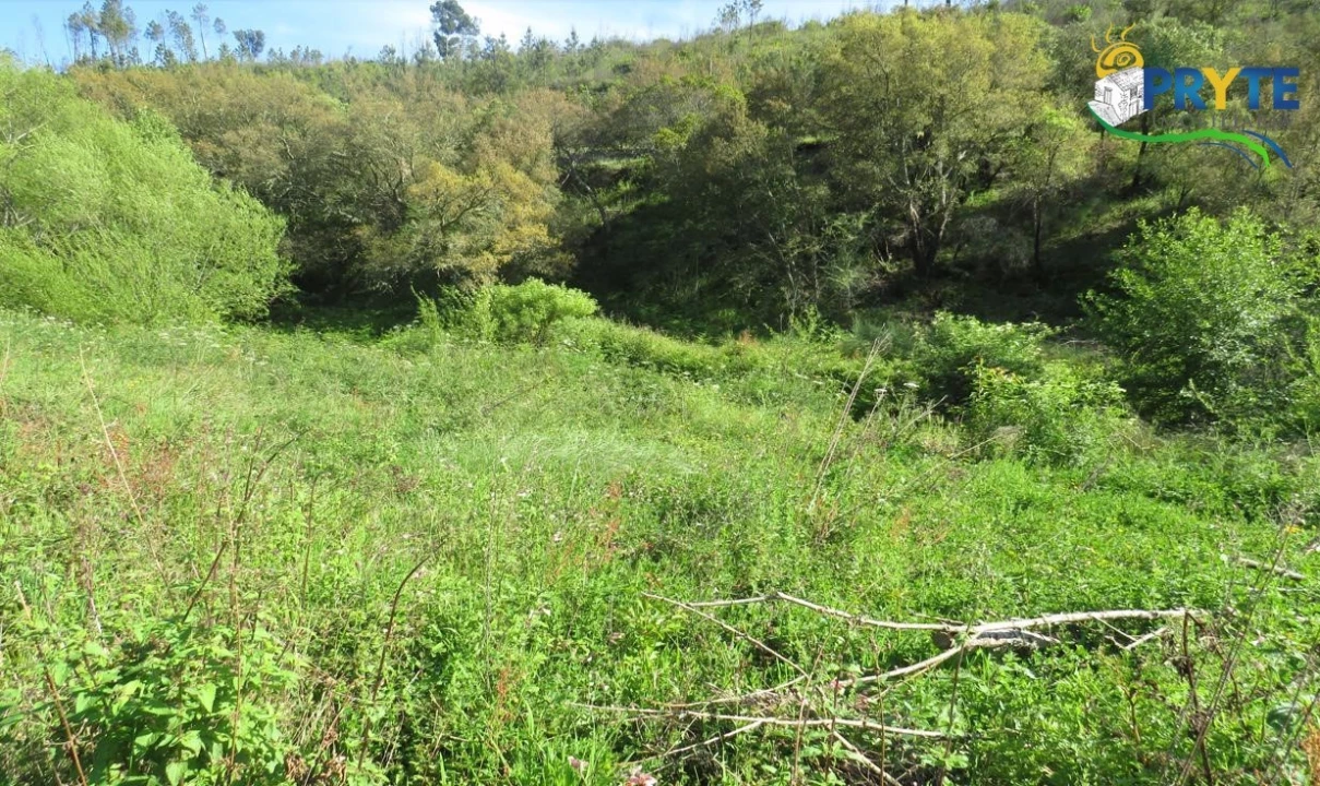 Terreno para Venda em Varzea dos Cavaleiros Foto 3