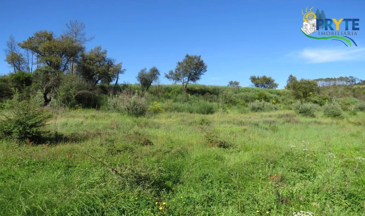 Terreno para Venda em Varzea dos Cavaleiros Foto 8