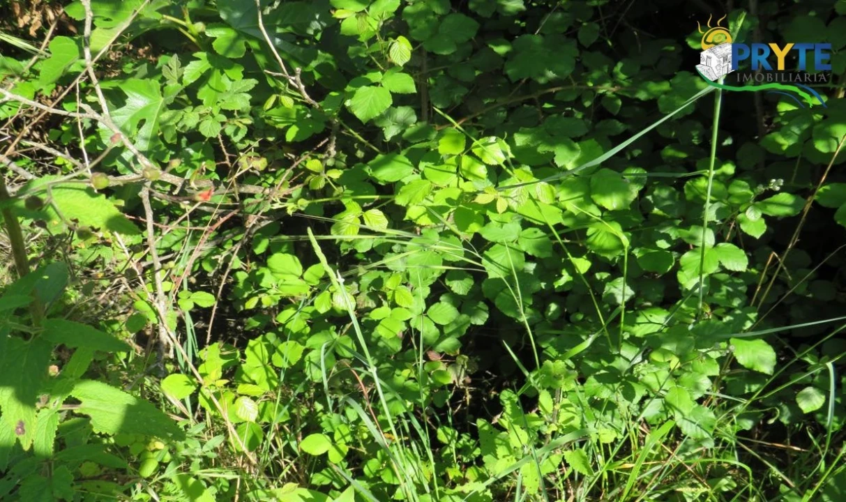 Terreno para Venda em Varzea dos Cavaleiros Foto 13