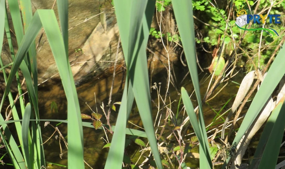 Terreno para Venda em Varzea dos Cavaleiros Foto 14