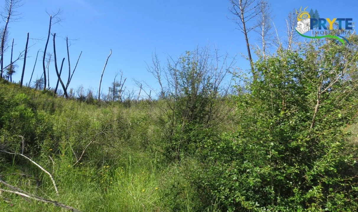 Terreno para Venda em Varzea dos Cavaleiros Foto 18