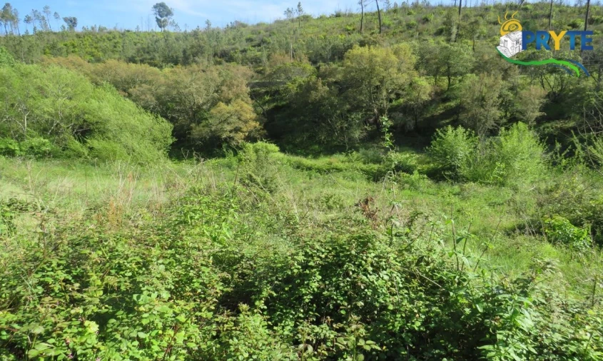 Terreno para Venda em Varzea dos Cavaleiros Foto 1