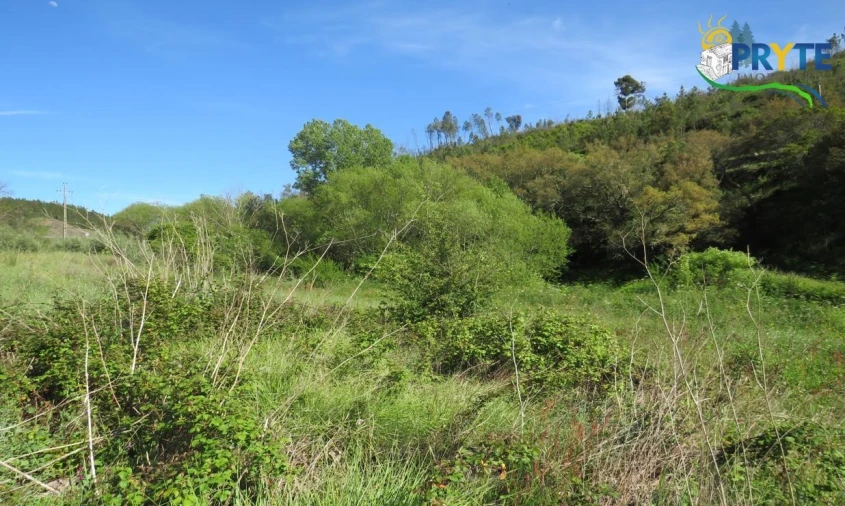 Terreno para Venda em Varzea dos Cavaleiros Foto 2