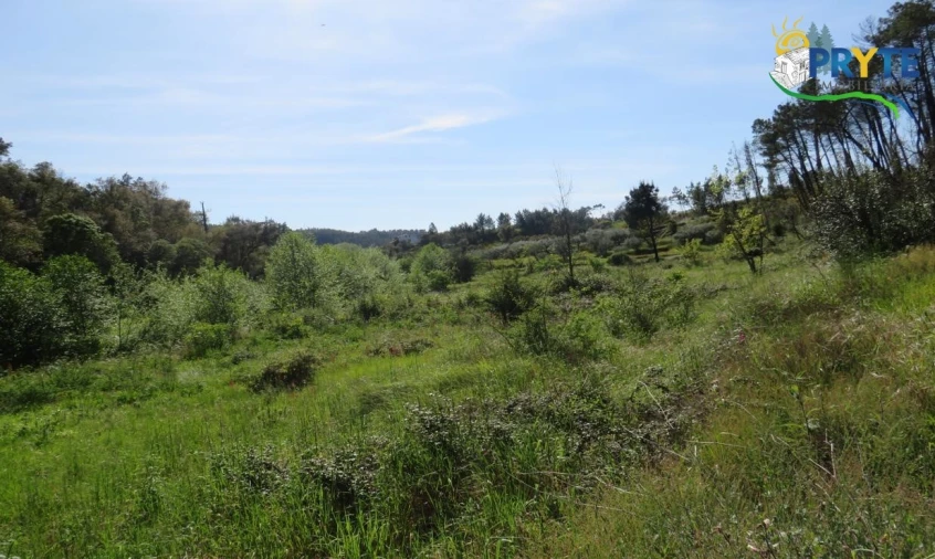 Terreno para Venda em Varzea dos Cavaleiros Foto 12