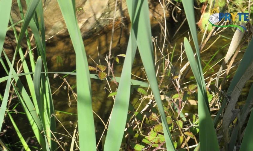 Terreno para Venda em Varzea dos Cavaleiros Foto 15