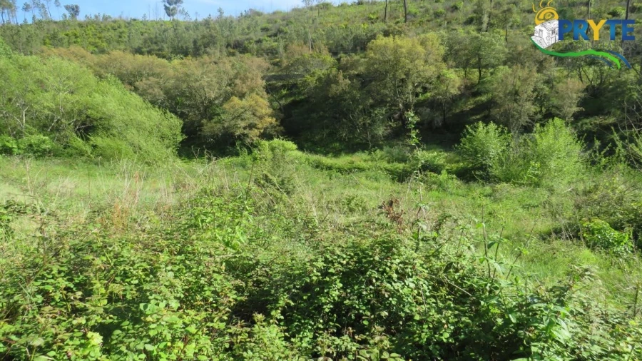 Terreno para Venda em Varzea dos Cavaleiros