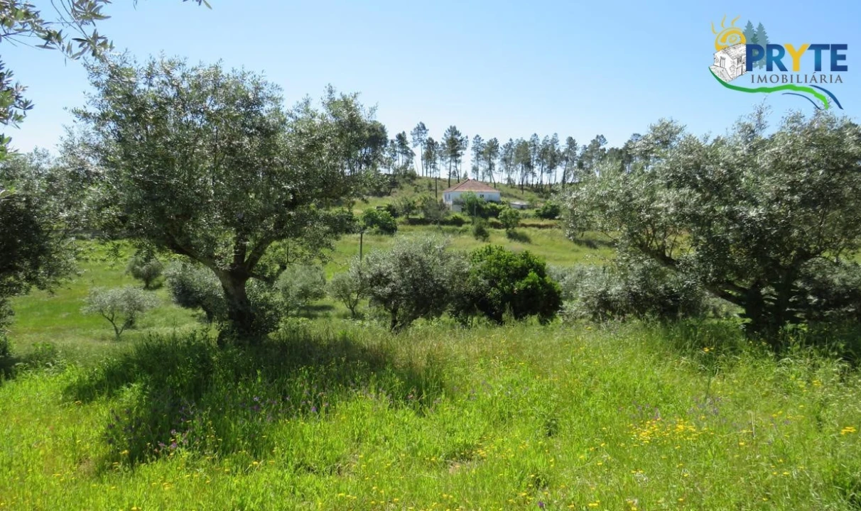 Terreno para Venda em Cumeada e Marmeleiro Foto 6