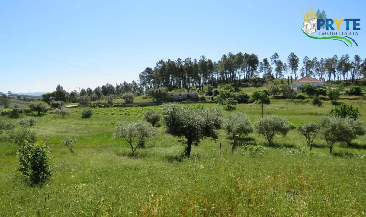 Terreno para Venda em Cumeada e Marmeleiro Foto 11