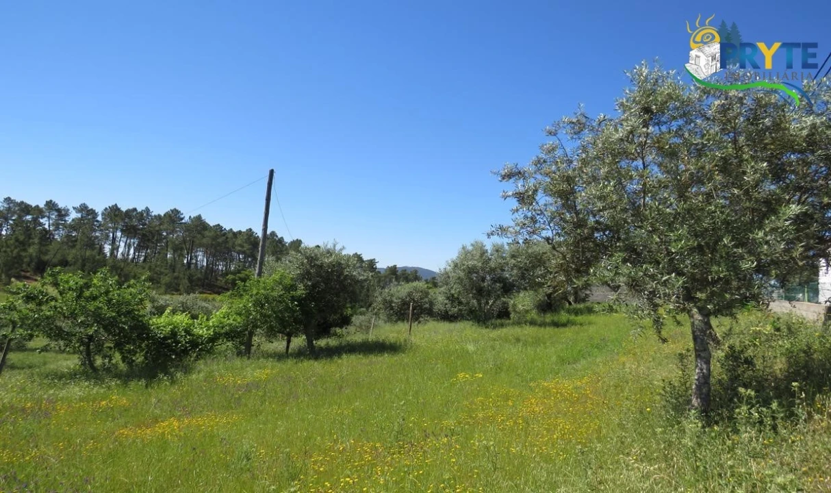 Terreno para Venda em Cumeada e Marmeleiro Foto 22