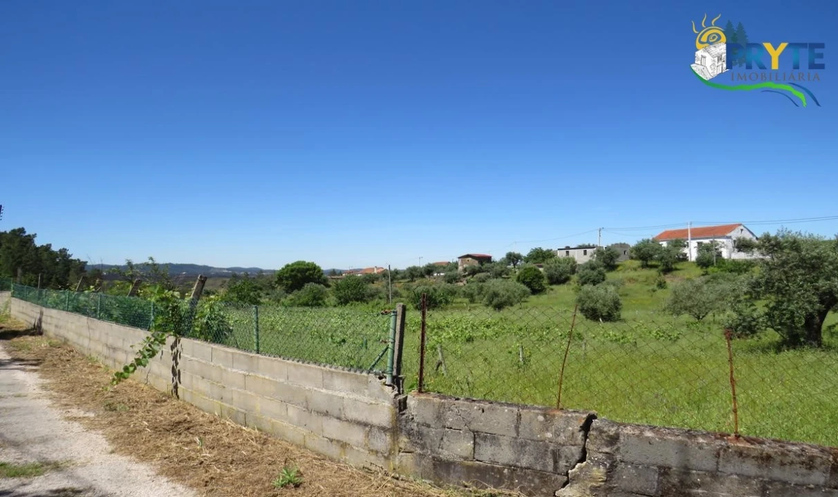 Terreno para Venda em Cumeada e Marmeleiro Foto 29
