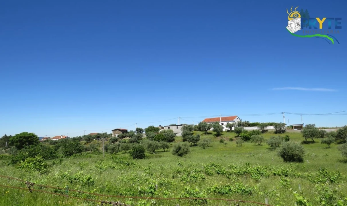 Terreno para Venda em Cumeada e Marmeleiro Foto 31