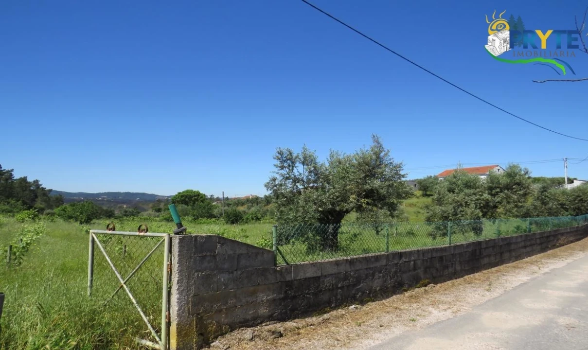 Terreno para Venda em Cumeada e Marmeleiro Foto 37