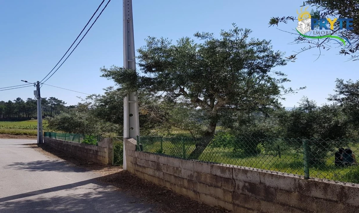 Terreno para Venda em Cumeada e Marmeleiro Foto 45