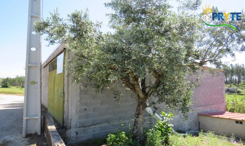 Terreno para Venda em Cumeada e Marmeleiro Foto 2