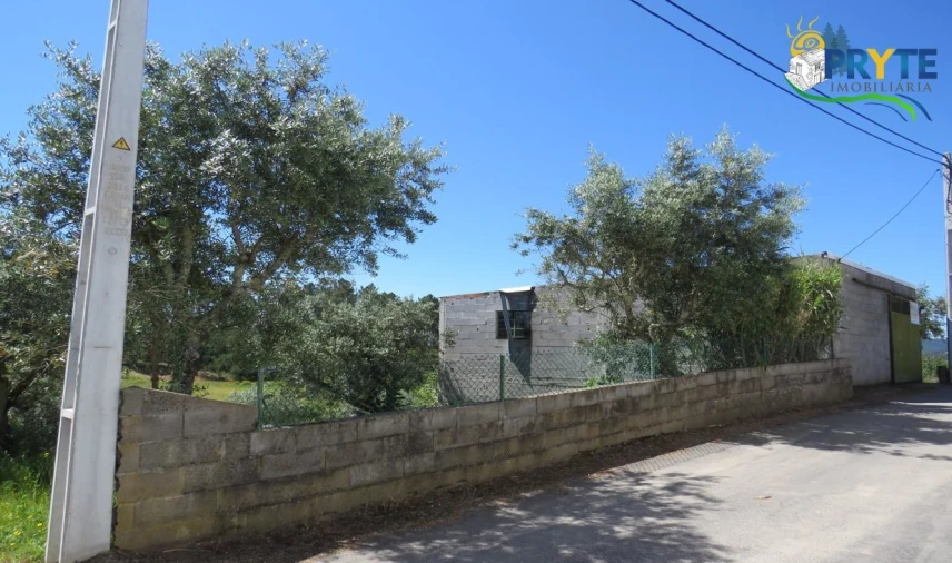 Terreno para Venda em Cumeada e Marmeleiro Foto 16