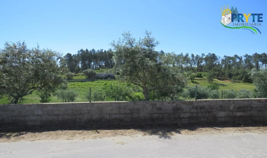 Terreno para Venda em Cumeada e Marmeleiro Foto 17