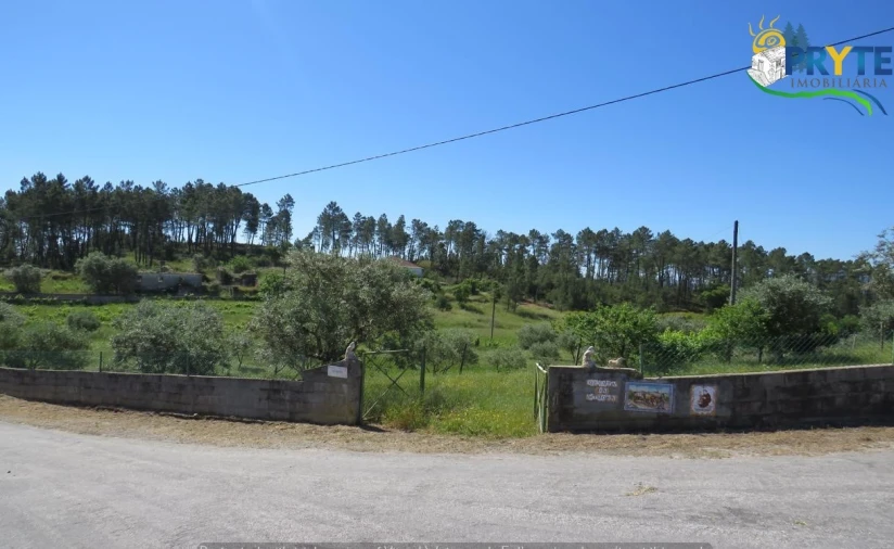 Terreno para Venda em Cumeada e Marmeleiro Foto 19
