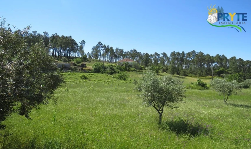 Terreno para Venda em Cumeada e Marmeleiro Foto 26