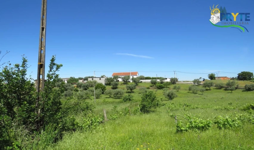 Terreno para Venda em Cumeada e Marmeleiro Foto 32