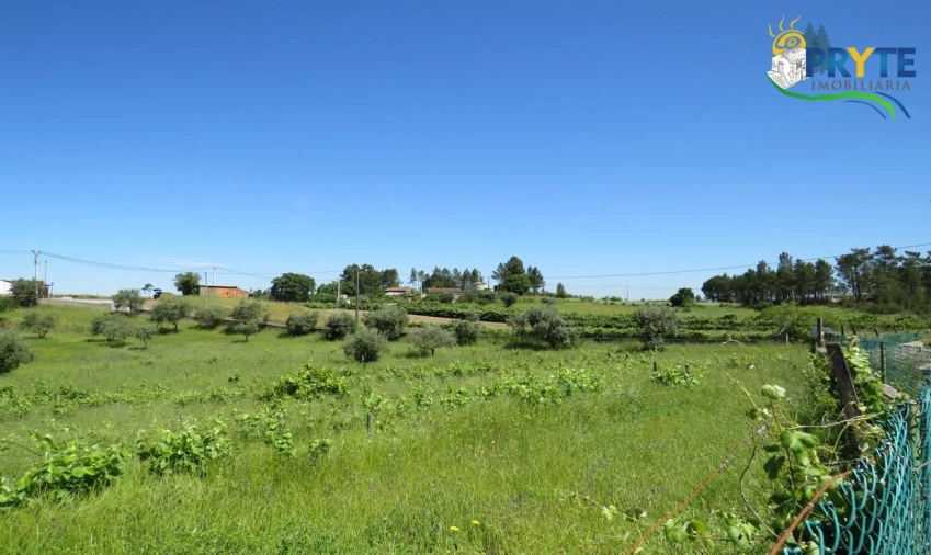 Terreno para Venda em Cumeada e Marmeleiro Foto 34