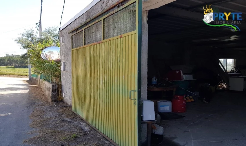 Terreno para Venda em Cumeada e Marmeleiro Foto 43