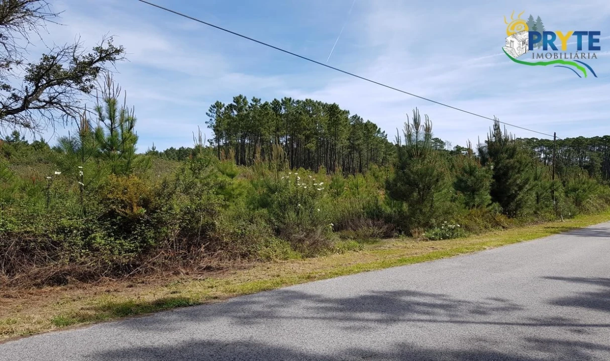 Terreno para Venda em Sertã Foto 2