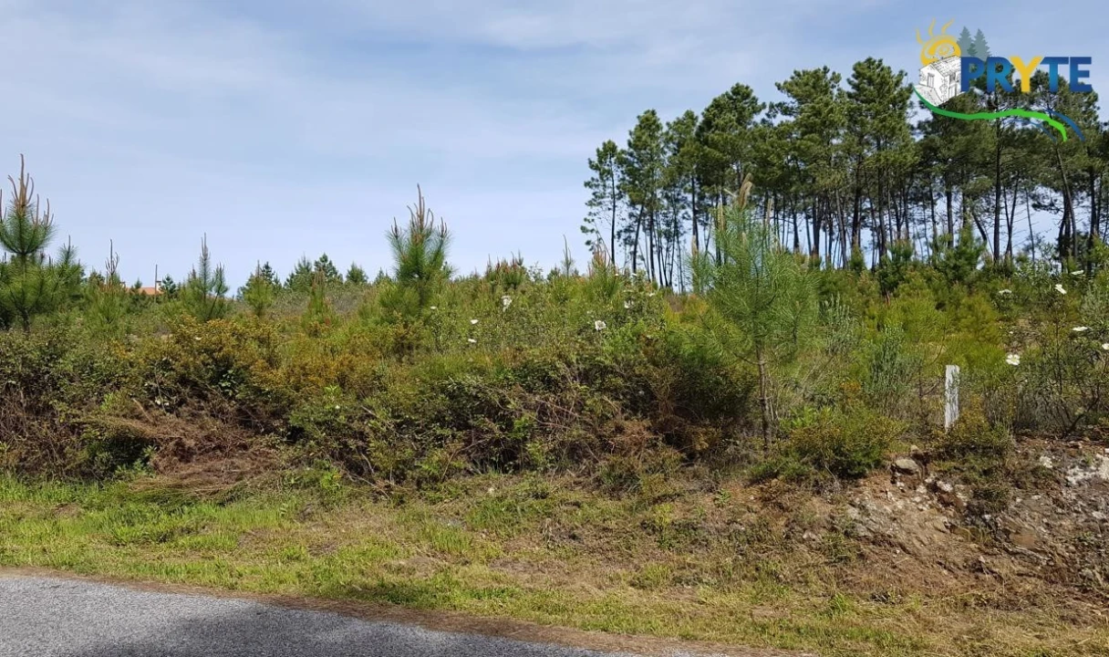 Terreno para Venda em Sertã Foto 1